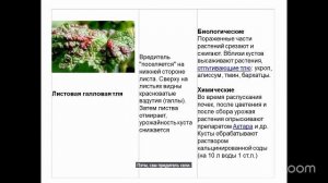 Уход за садом с Анастасией Борункова 13.8 14:00