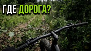 ГДЕ ЭТОТ ЧЕРТОВ ВЫХОД? Исследование заброшенной просеки.