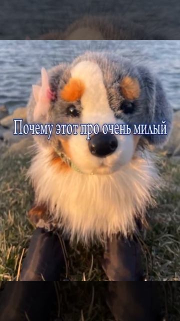 Блин ну такое реально милый