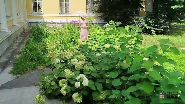 Прогулка в Братцево.mp4