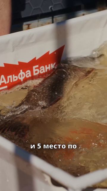 Главный судья #BETBOOM_PAL2026 – Владимир Иноземцев – о прошедшем Первом этапе Турнира🔥