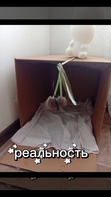 Ожидание:реальность.