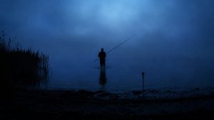 Пока все спали. Рыбалка в тумане на Дону | Лещ, карась и неожиданный сазан