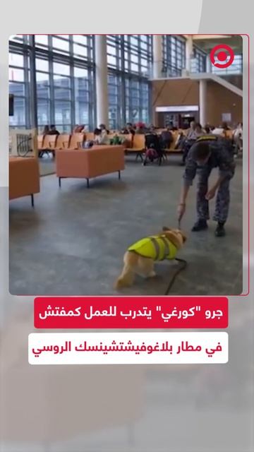 جرو يدعى 