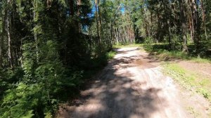 северная грива