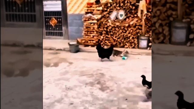 Усмирили озорника
