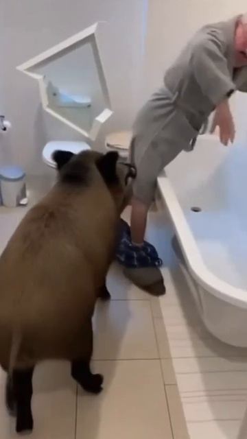 некого же не трогал,сидел же спокойно