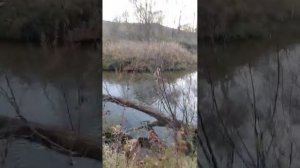 Ловим рыбу