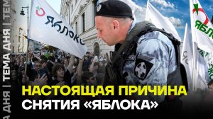 Памфилова узнала последней. Кто разрешил, а потом запретил «Яблоку» избираться