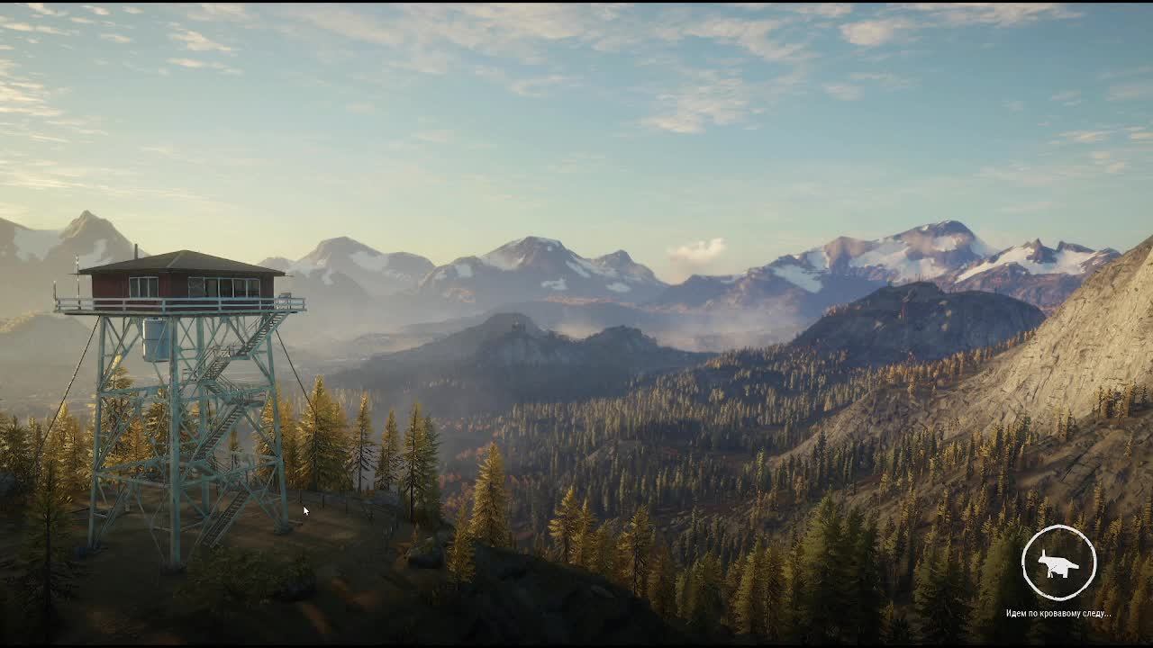Играю The Hunter
