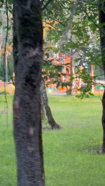 Шагаем по Спортивной: прогулка по одной из улиц Электростали