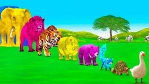 ЖИВОТНЫЕ 😺 И КРАСКИ 🎨🎨🎨