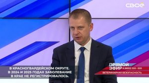 В этом году очаг африканской чумы свиней зафиксирован только в Красногвардейском округе