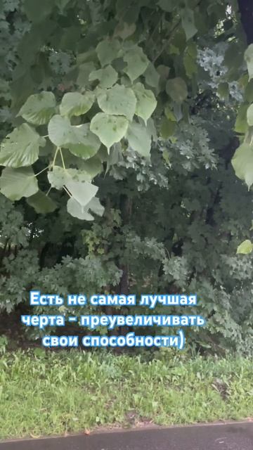 Черта