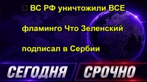 ⚡️ ВС РФ уничтожили ВСЕ фламинго Что Зеленский подписал в Сербии