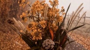В опис