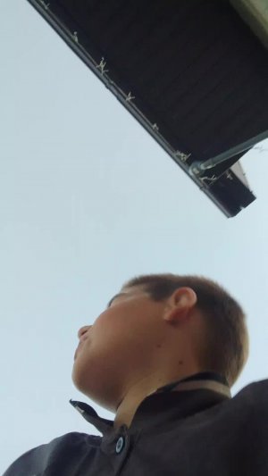подпишись