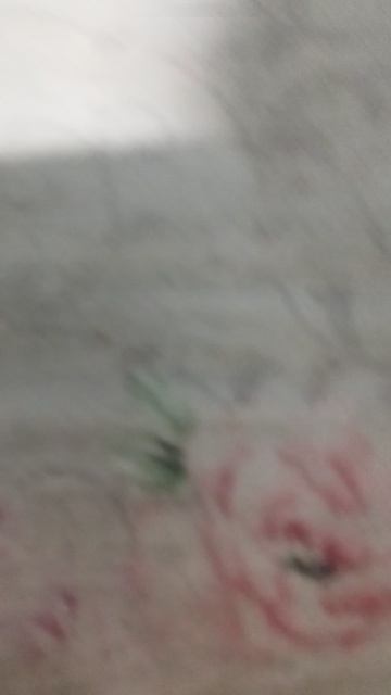 лягушка