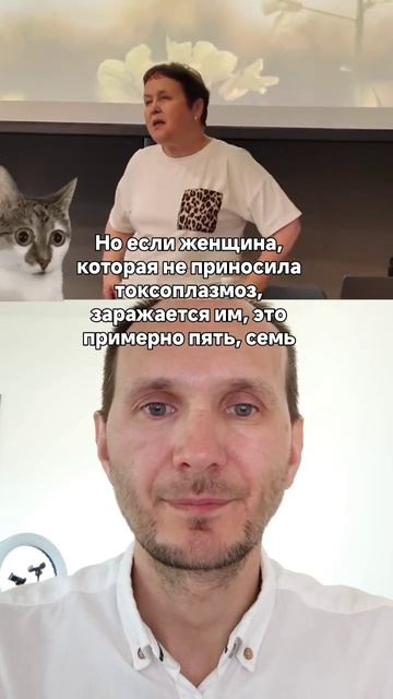 Почему беременным строго запрещено гладить чужих кошек и чем это грозит малышу.