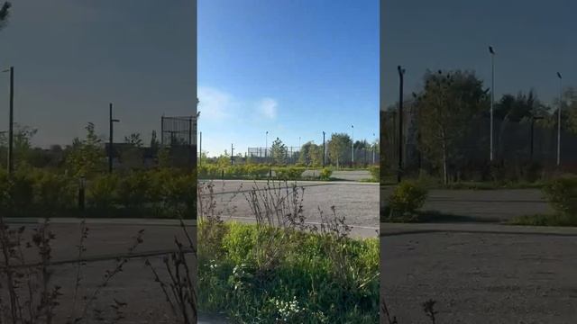 🧹📚 КАК СОЕДИНИТЬ ШВАБРУ И ХРОНИКИ АКАШИ: ОТ УБОРЩИКА ДО АВТОРА НАУКИ