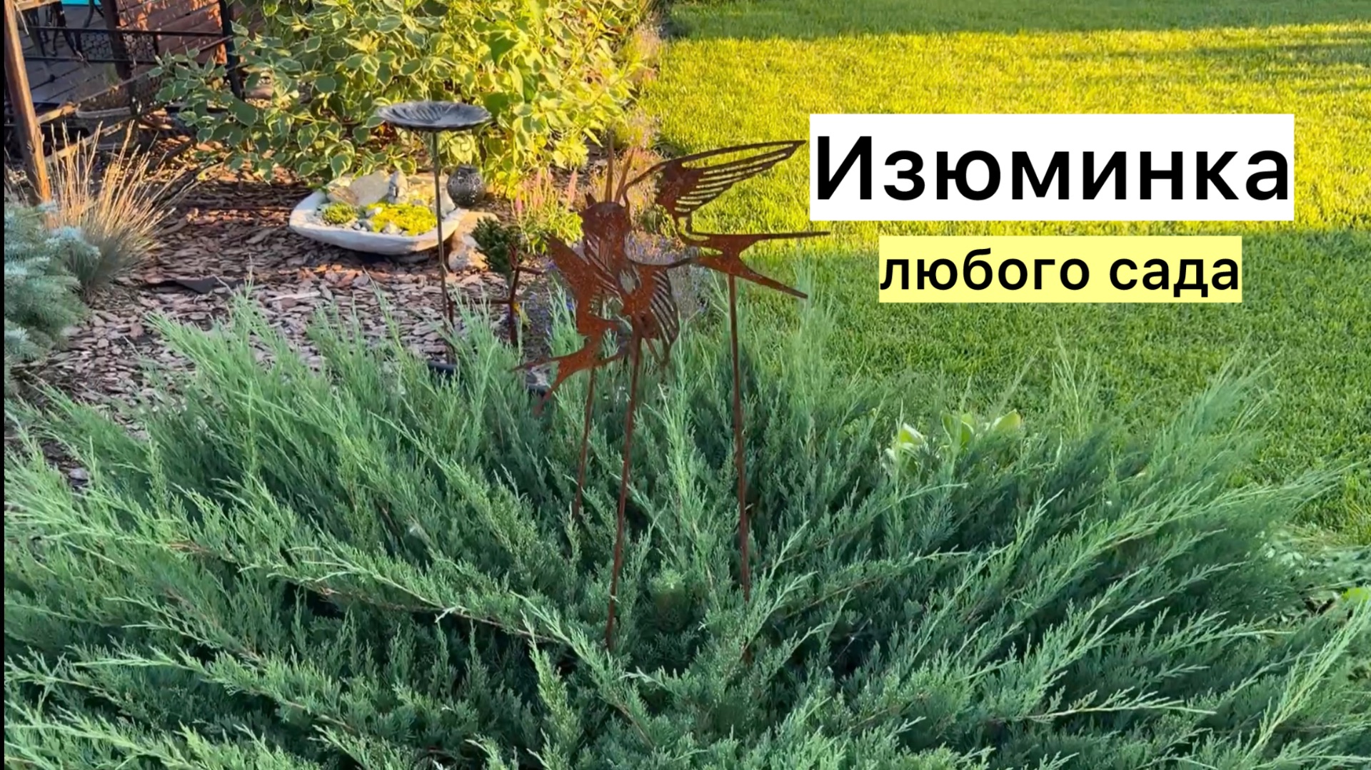 Декор в моём саду! Компаньоны для растений!