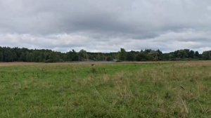 дуп2_130826