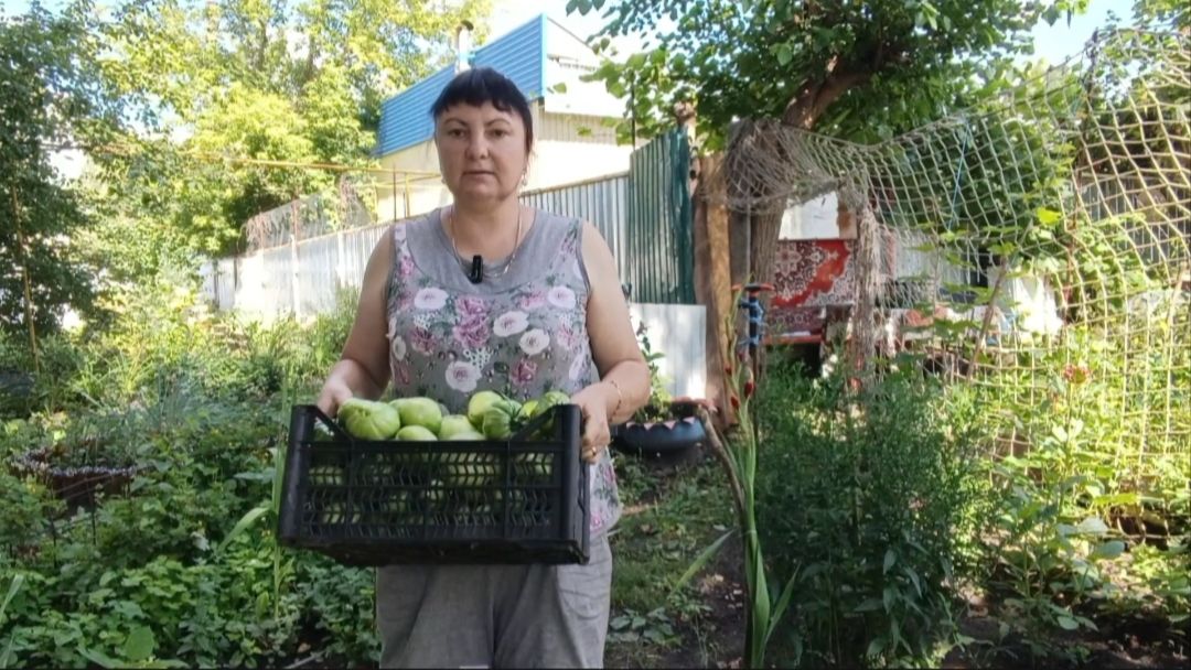 СПАСАЮ УРОЖАЙ, РАССТРОЕНА, РАНО РАДОВАЛАСЬ