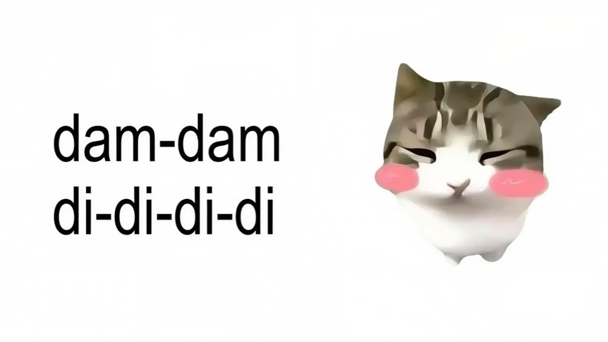 Dam Dam DidiDidi Cat Mem TERANOVA❤️