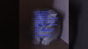 .·´¯`(﹥▂﹤)´¯`·.