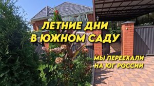 1196 Жизнь семьи на Кубани/Как мы живём на юге России