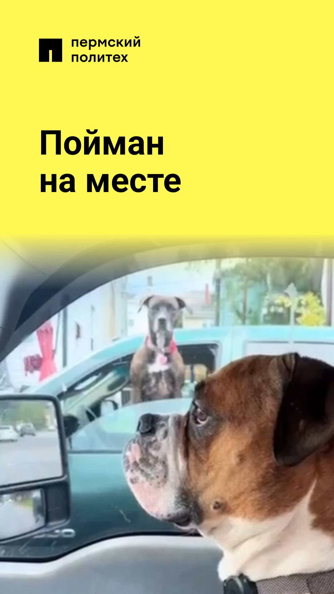 Пойман на месте