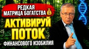 Редкая Матрица Богатства 💰 Активируй Поток Финансового Изобилия