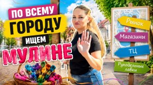 ВЛОГ ! Снова сломалась духовка ! Ищем мулине по всему городу !