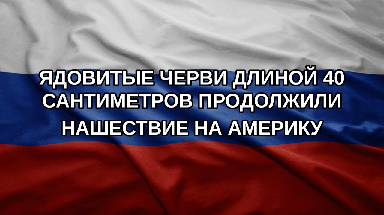Ядовитые черви длиной 40 сантиметров продолжили нашествие на Америку
