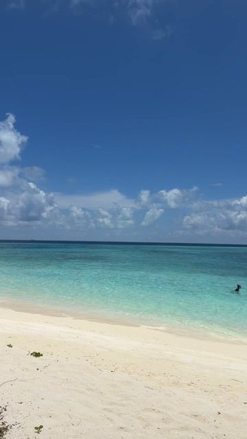 Maldives 🤍