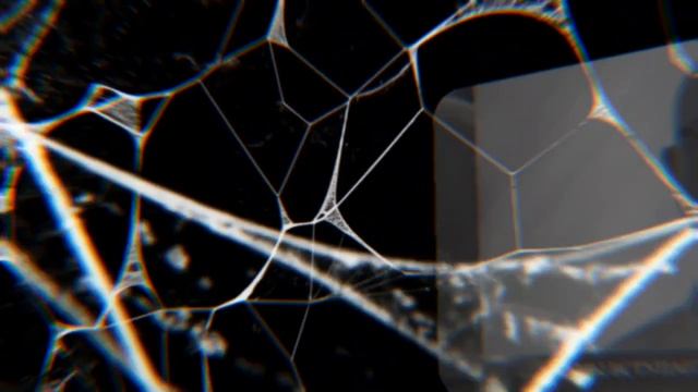 Мы вступаем в фазу выживания! Саймон Ципис