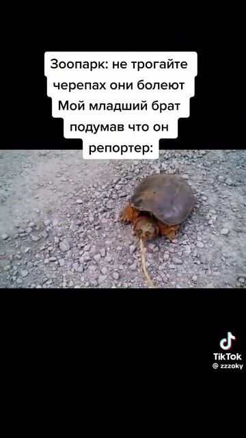 Это мем?