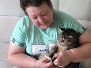 Сегодня подстригательный день! Стригу ногти кошкам — показываю без прикрас