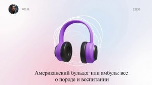 Американский бульдог или амбуль: все о породе и воспитании