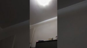311.mp4