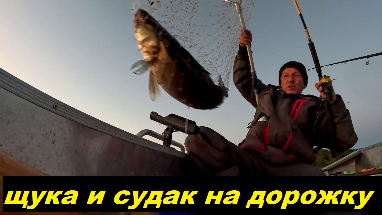 Щука днем судак вечером. Подбор воблера. Новые цвета Лаатокка 130.