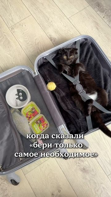 все самое важное