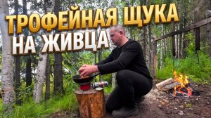 Рыбалка на жерлицы. Поймал щуку, а в пасти у неё трофей!
