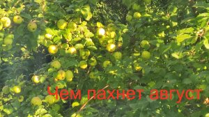 Готовлю. Что нашла в «фикспрайс».