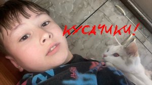 КУСАЧИКИ!