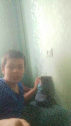 катёнок