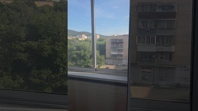 попова 11