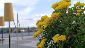 Августовский полдень ❣️✨👍