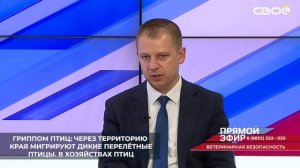 Африканская чума свиней регистрируется во многих регионах страны