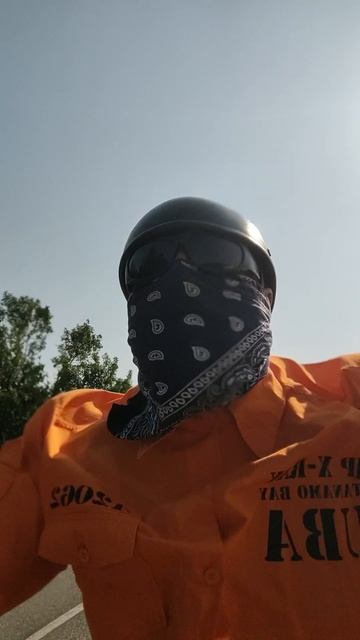 ария